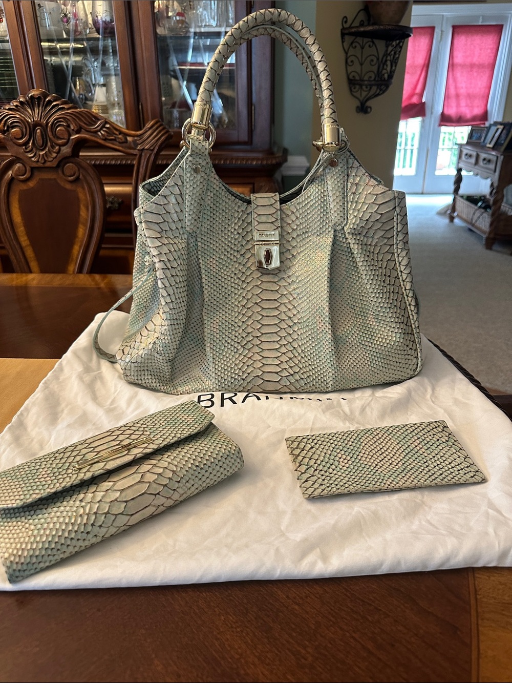 Brahmin Python-Texture Tote Bag in Pale Green